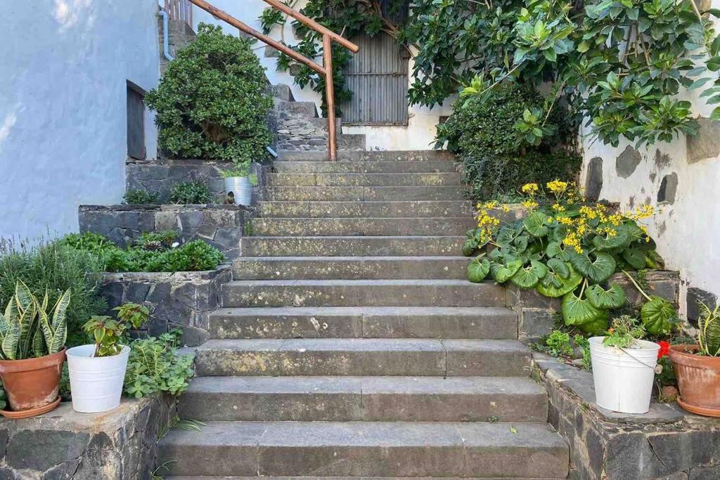 Apartamento Casita Bioclimatica En El Campo Arucas Exterior foto
