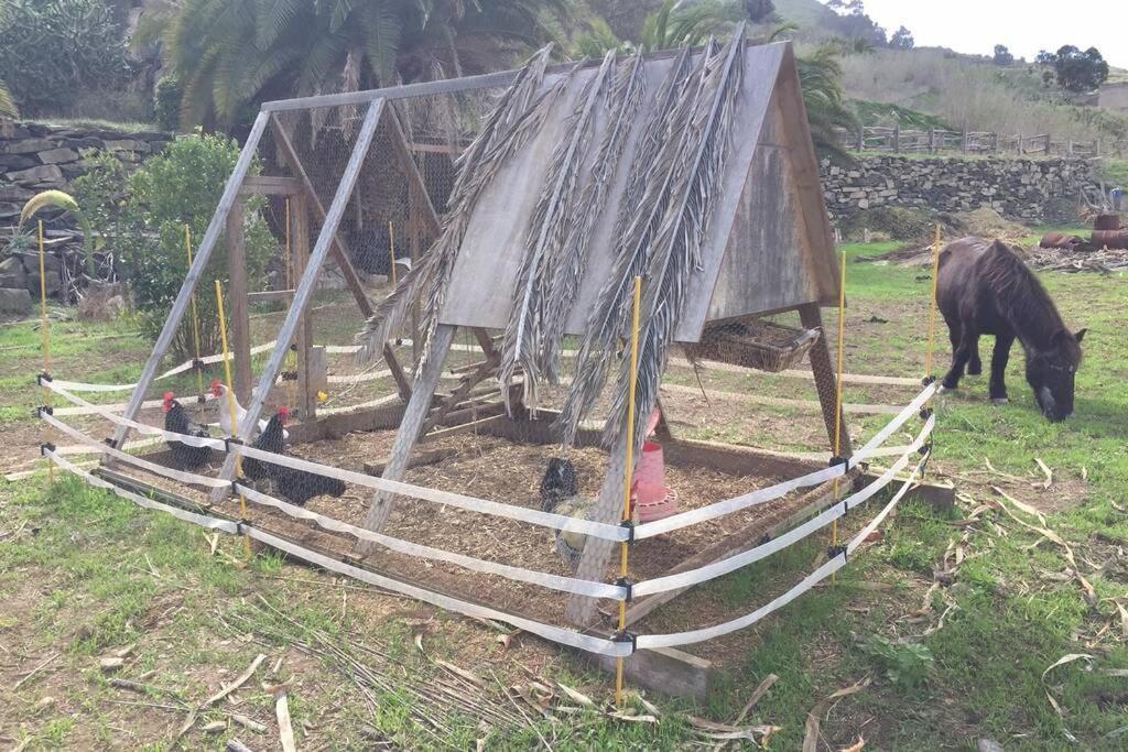 Apartamento Casita Bioclimatica En El Campo Arucas Exterior foto