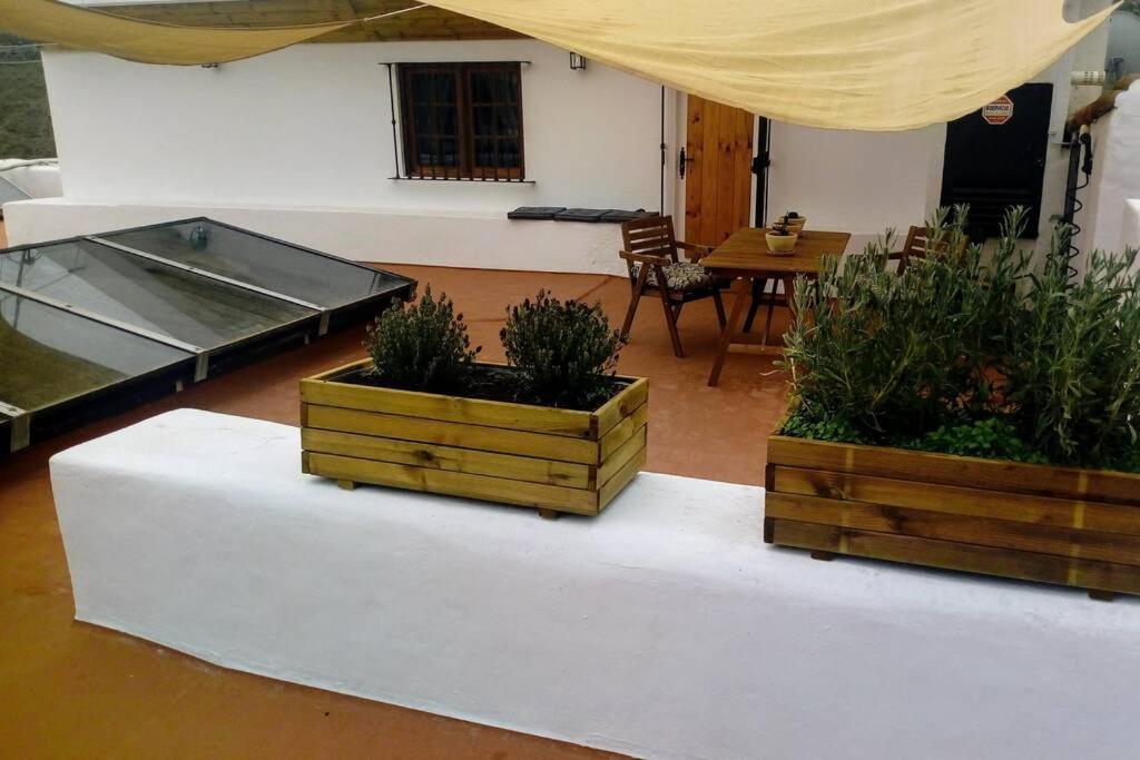 Apartamento Casita Bioclimatica En El Campo Arucas Exterior foto